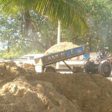 Nadarajah Nagaratnam Madam  – Stage 1